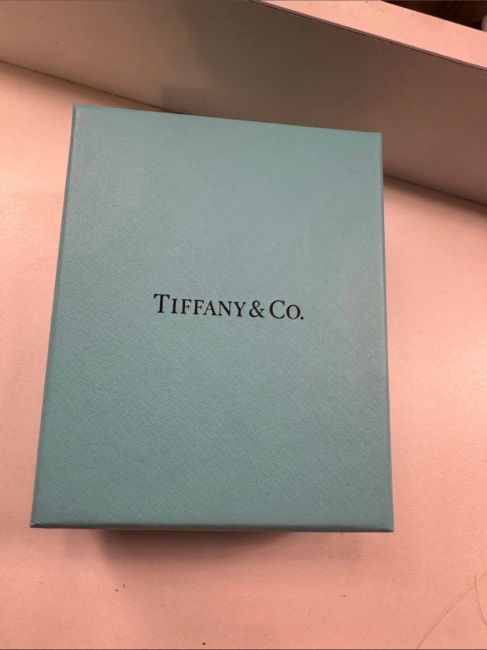 Tiffany & Co. Silver Infinity Double-Chain Necklace